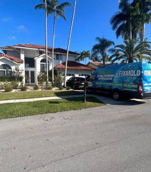 residential mold remediation residential mold remediation